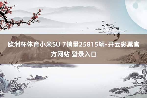 欧洲杯体育小米SU 7销量25815辆-开云彩票官方网站 登录入口