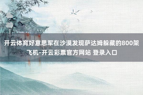开云体育好意思军在沙漠发现萨达姆躲藏的800架飞机-开云彩票官方网站 登录入口