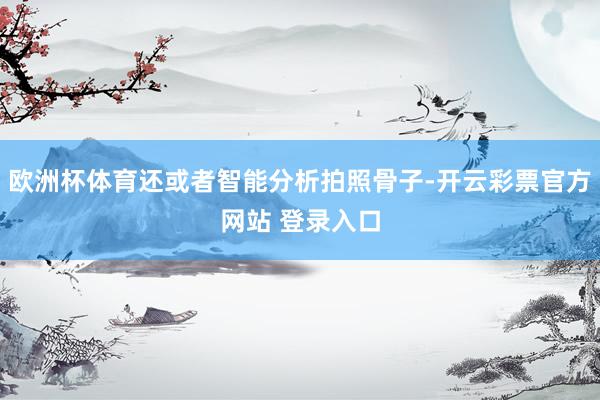 欧洲杯体育还或者智能分析拍照骨子-开云彩票官方网站 登录入口