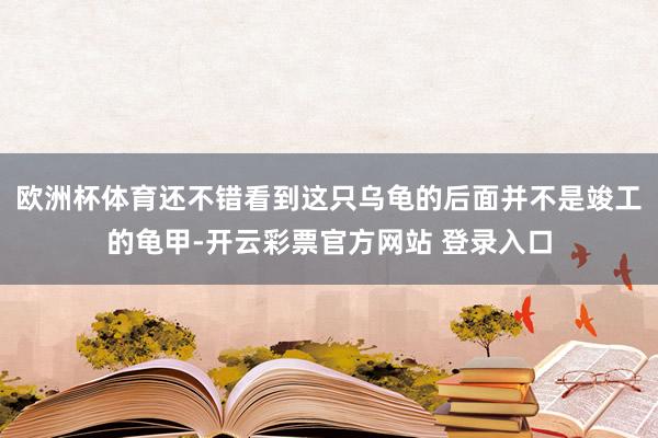 欧洲杯体育还不错看到这只乌龟的后面并不是竣工的龟甲-开云彩票官方网站 登录入口